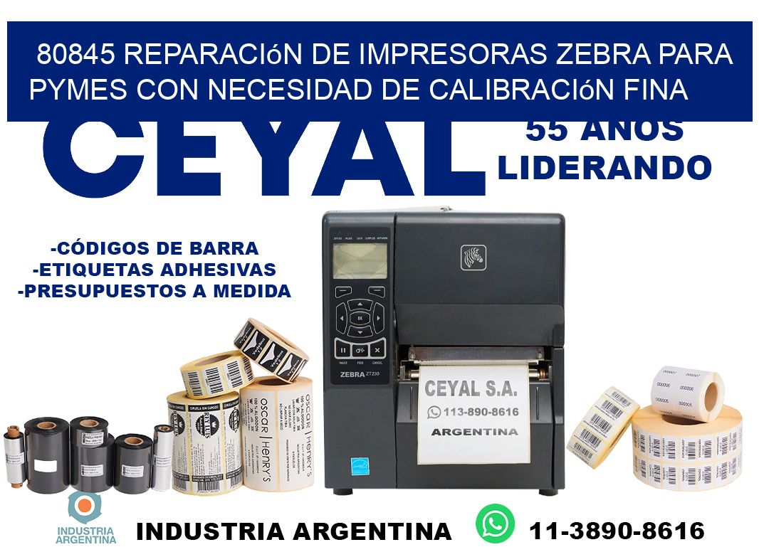 80845 reparación de impresoras zebra para pymes con necesidad de calibración fina