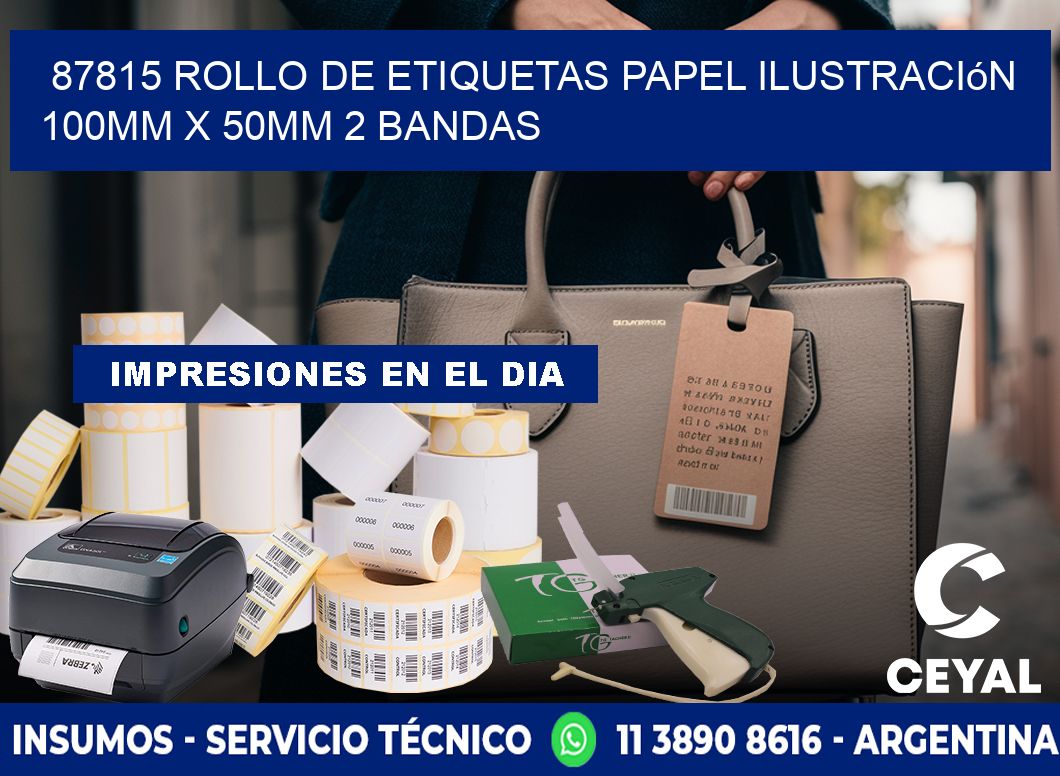 87815 Rollo de Etiquetas Papel Ilustración 100mm x 50mm 2 Bandas
