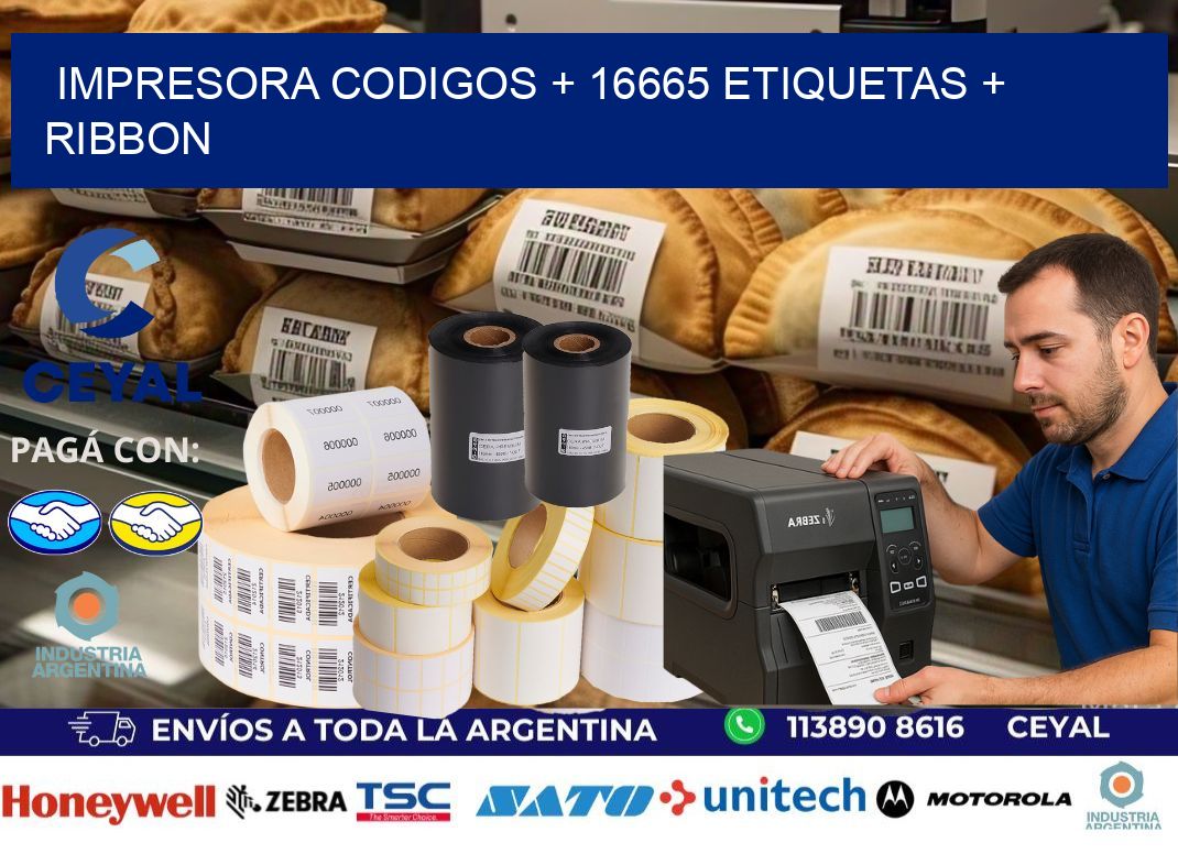 impresora codigos + 16665 etiquetas + ribbon