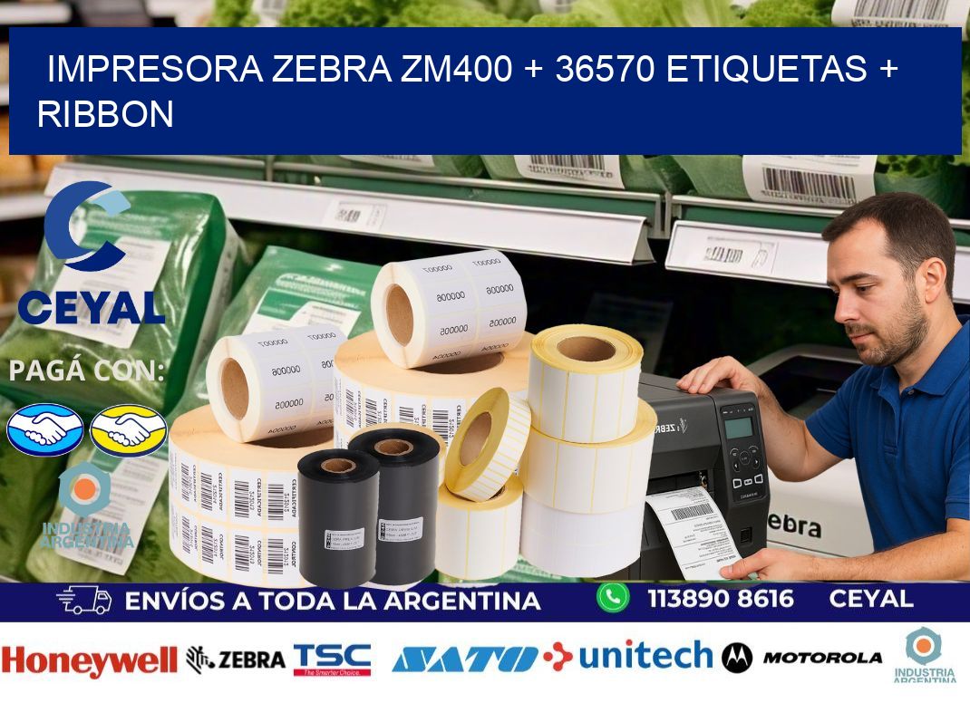 impresora zebra zm400 + 36570 etiquetas + ribbon