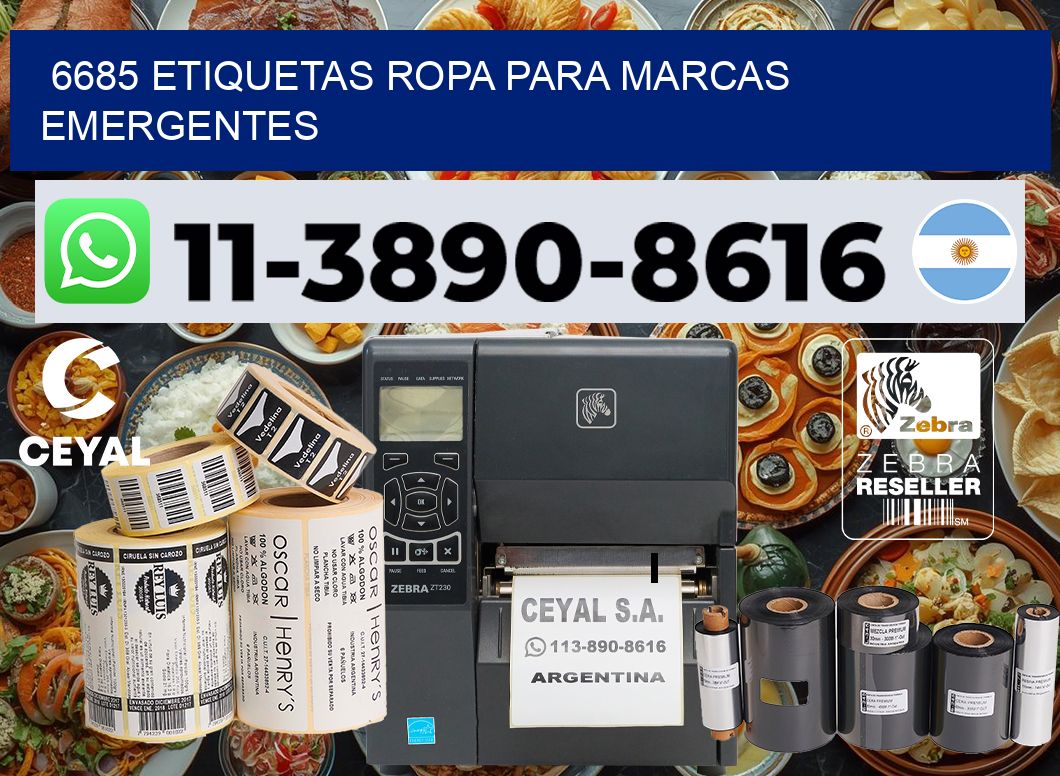 6685 Etiquetas ropa para marcas emergentes