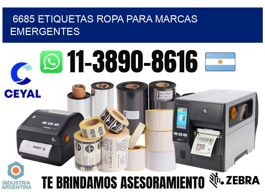 6685 Etiquetas ropa para marcas emergentes