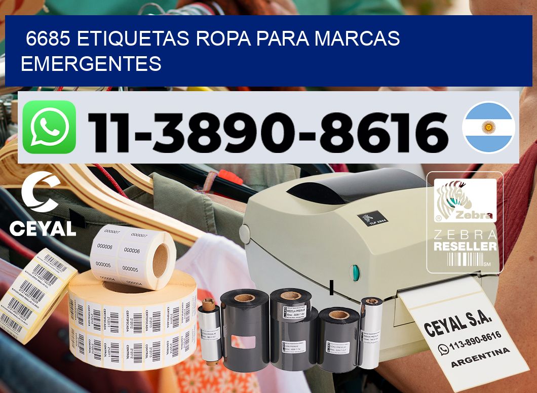 6685 Etiquetas ropa para marcas emergentes