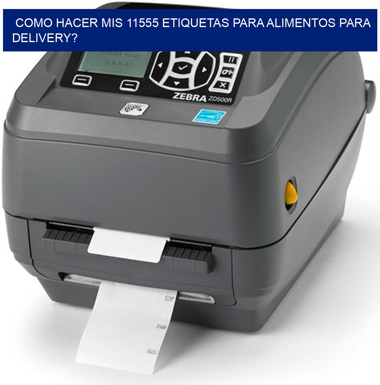 como hacer mis 11555 etiquetas para alimentos para delivery?