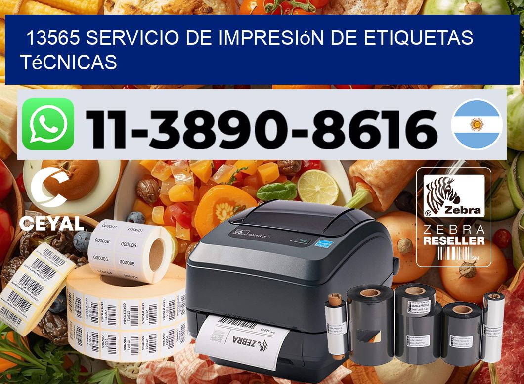 13565 Servicio de impresión de etiquetas técnicas