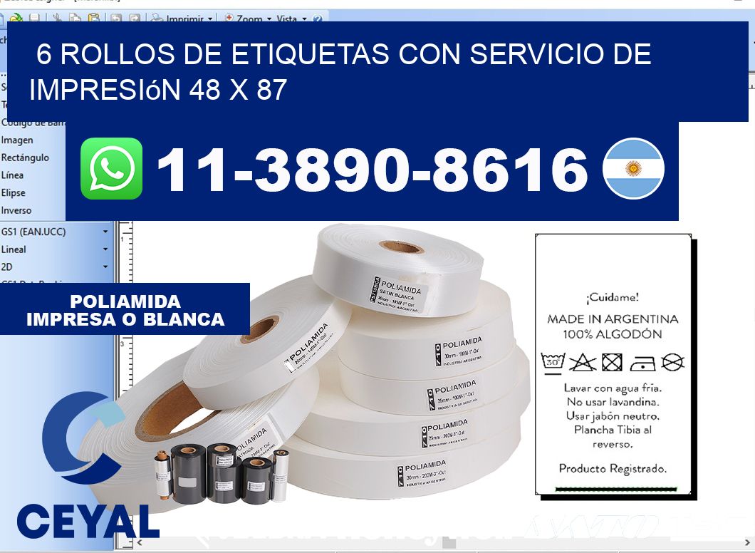 6 rollos de etiquetas con servicio de impresión 48 x 87
