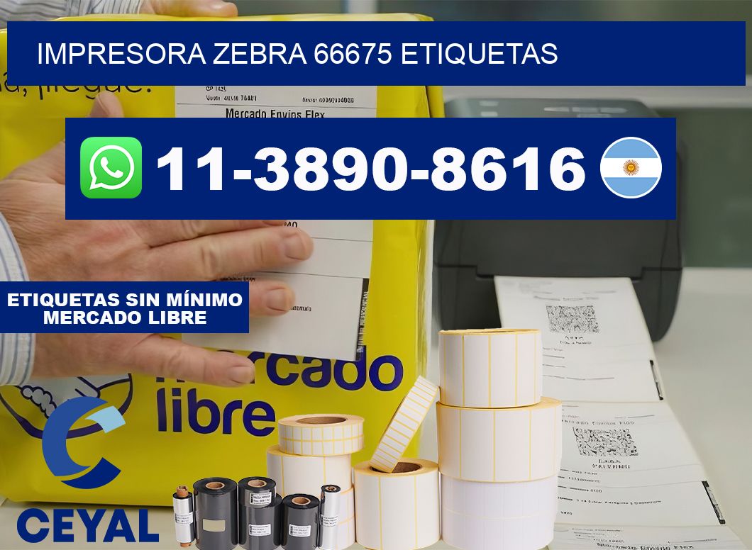 impresora zebra 66675 etiquetas