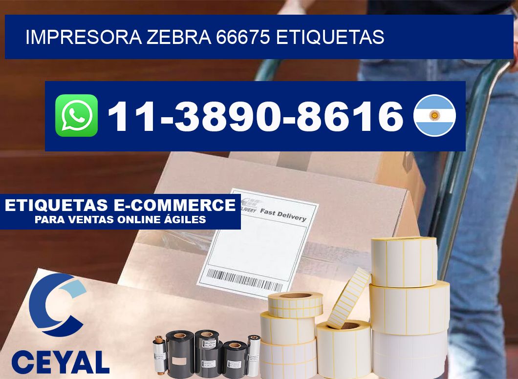 impresora zebra 66675 etiquetas