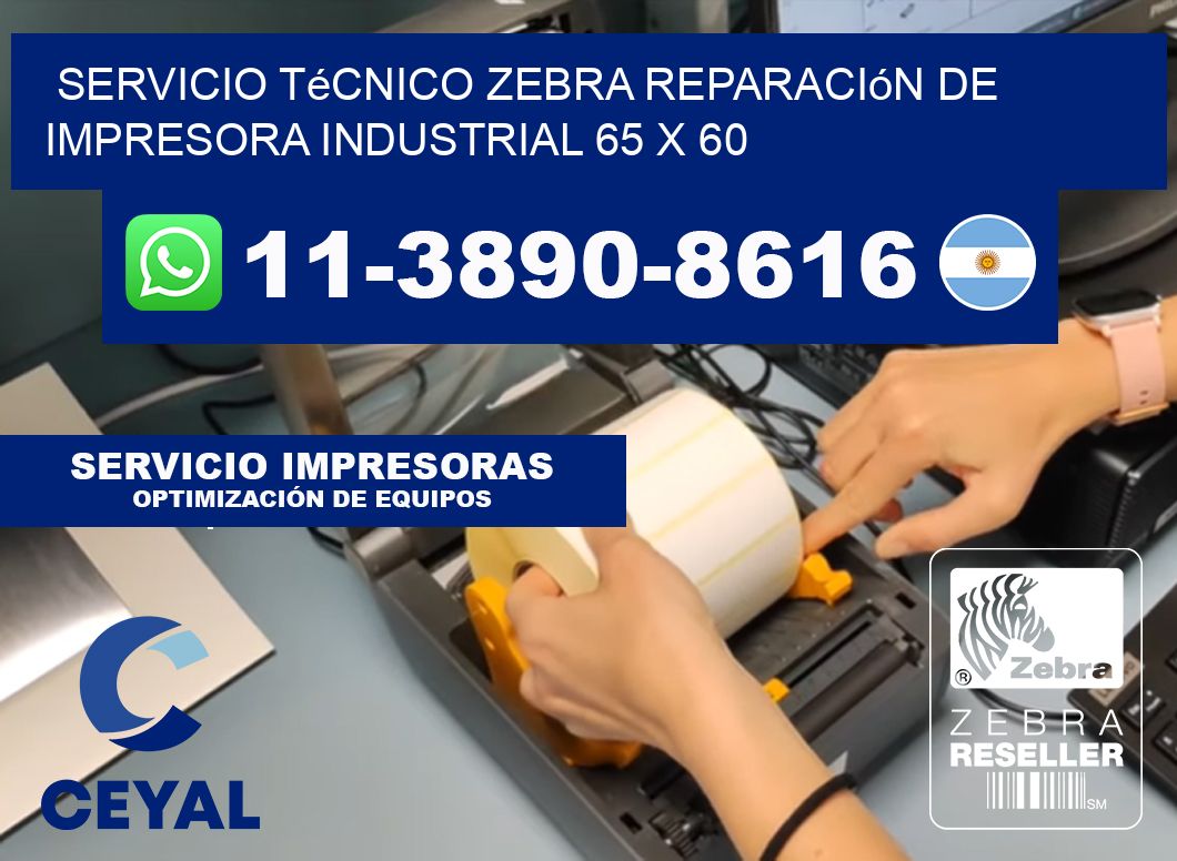 Servicio Técnico Zebra Reparación de Impresora Industrial 65 x 60