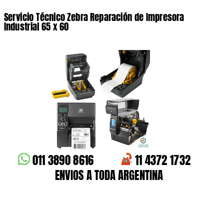 Servicio Técnico Zebra Reparación de Impresora Industrial 65 x 60