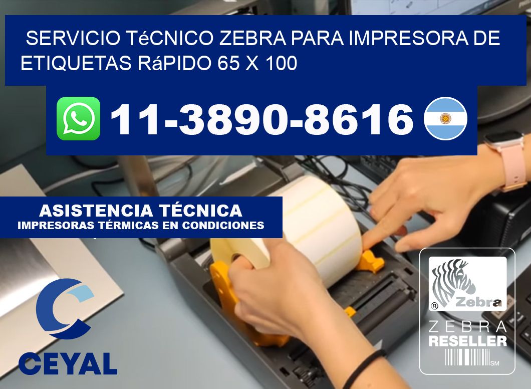 Servicio Técnico Zebra para Impresora de Etiquetas Rápido 65 x 100