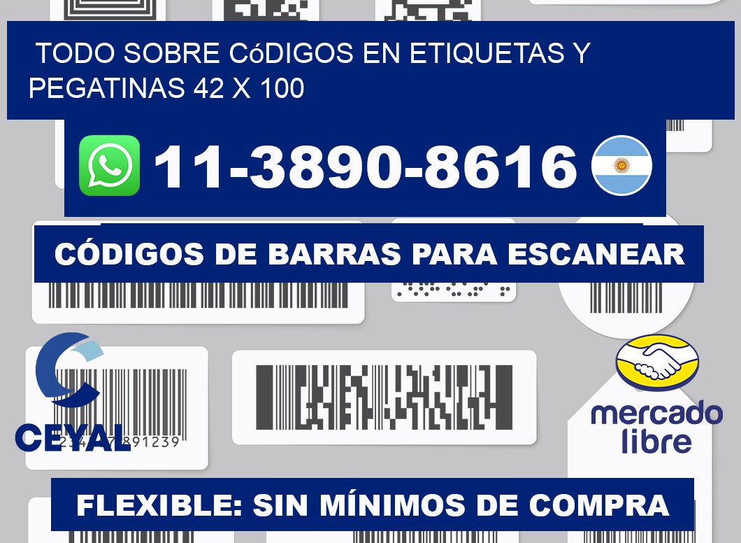 Todo sobre códigos en etiquetas y pegatinas 42 x 100