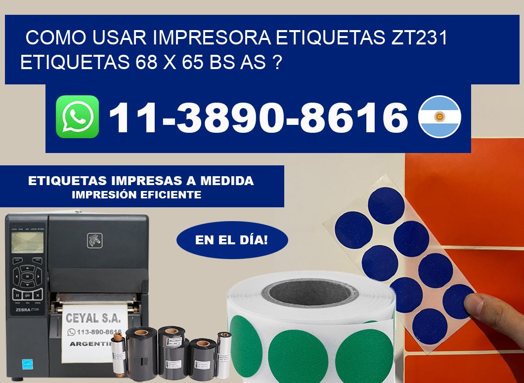 como usar impresora etiquetas zt231 etiquetas 68 x 65 BS AS ?
