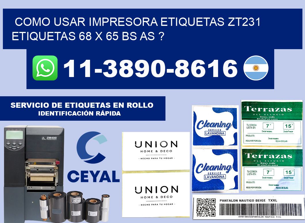 como usar impresora etiquetas zt231 etiquetas 68 x 65 BS AS ?
