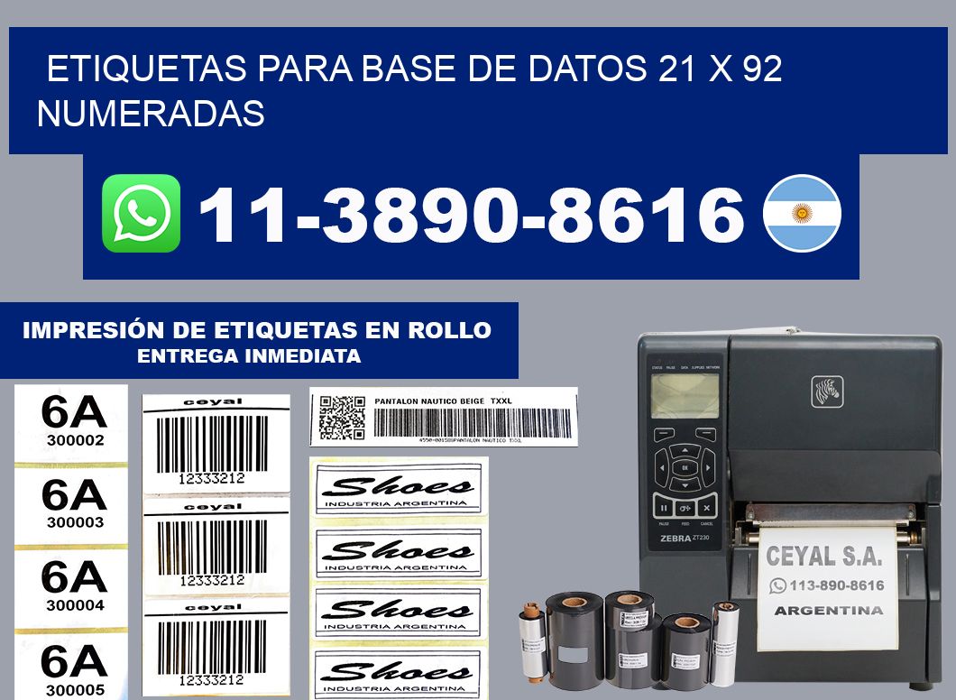 etiquetas para base de datos 21 x 92 numeradas