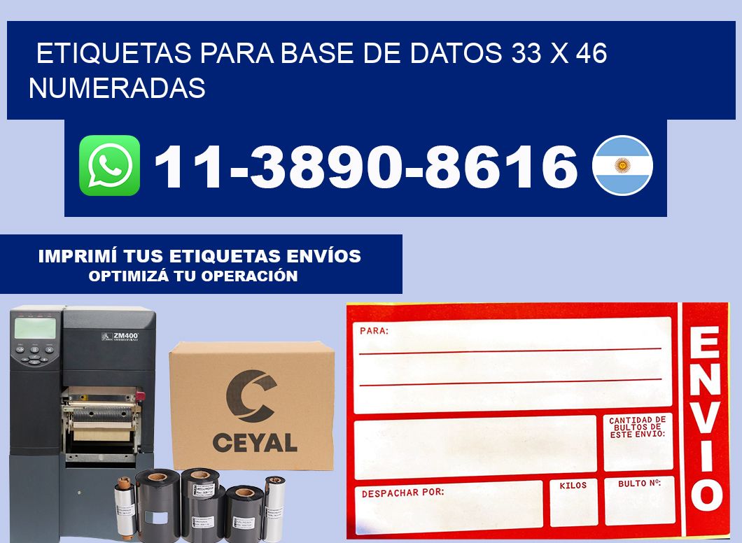 etiquetas para base de datos 33 x 46 numeradas