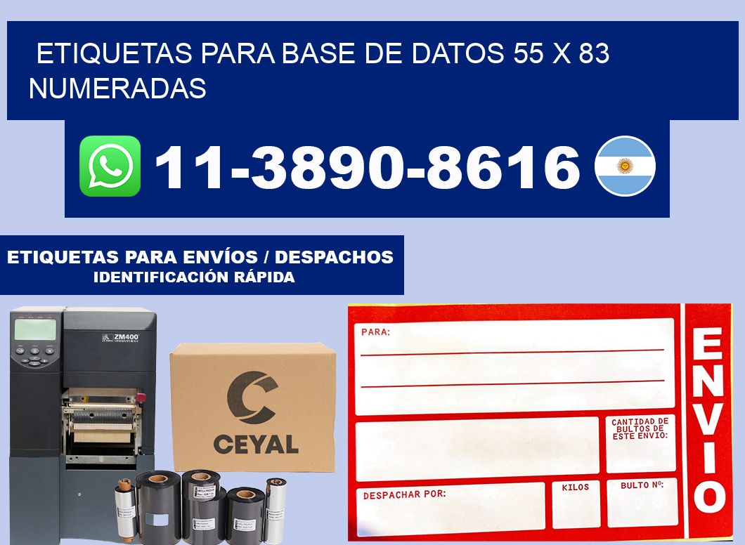 etiquetas para base de datos 55 x 83 numeradas