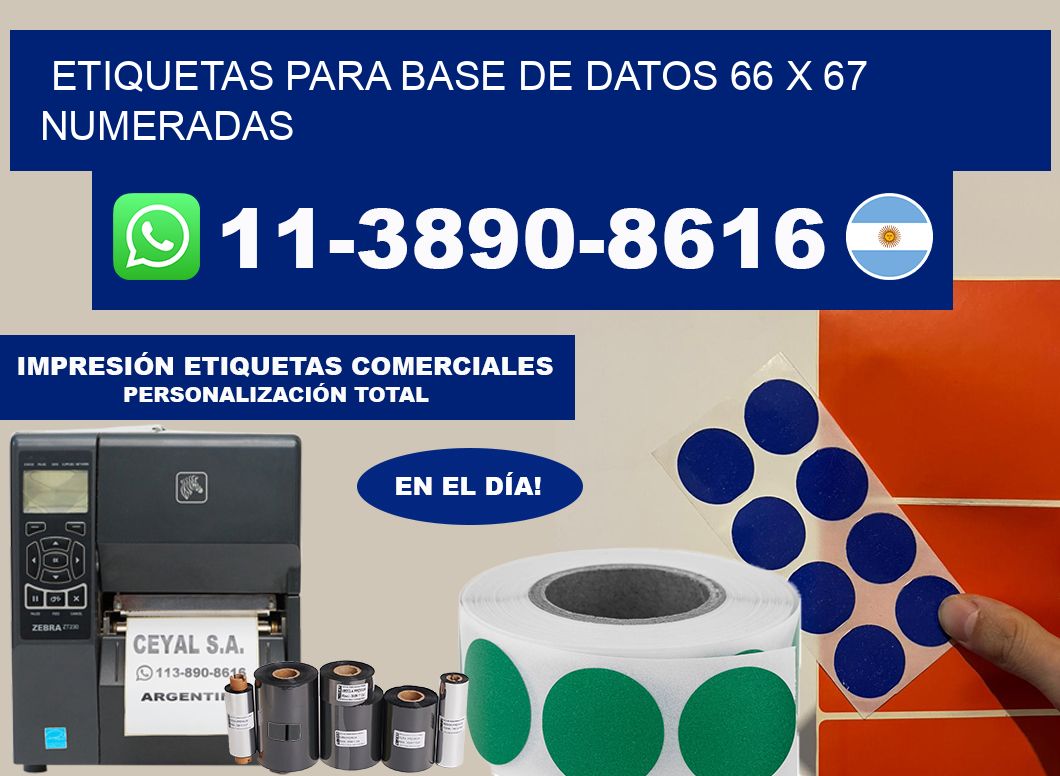 etiquetas para base de datos 66 x 67 numeradas