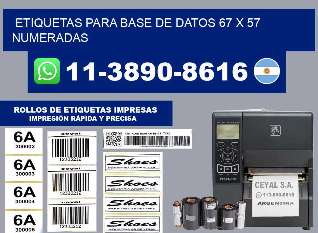 etiquetas para base de datos 67 x 57 numeradas