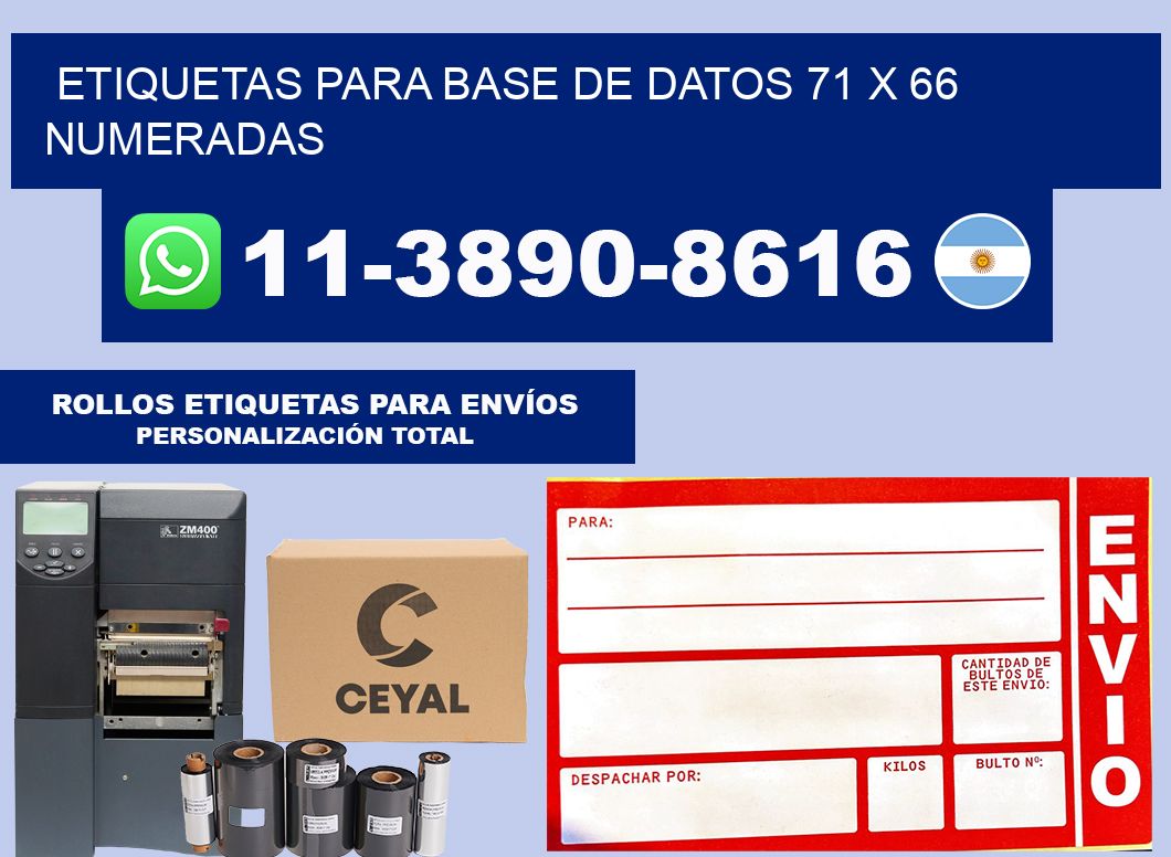 etiquetas para base de datos 71 x 66 numeradas