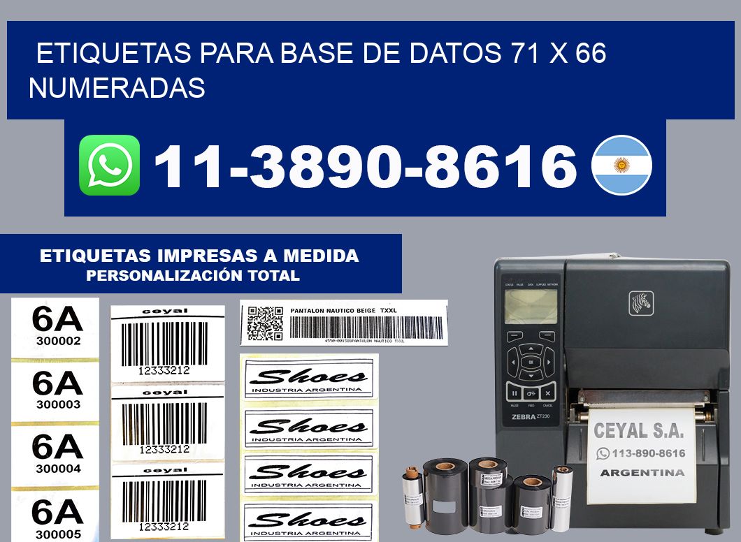 etiquetas para base de datos 71 x 66 numeradas