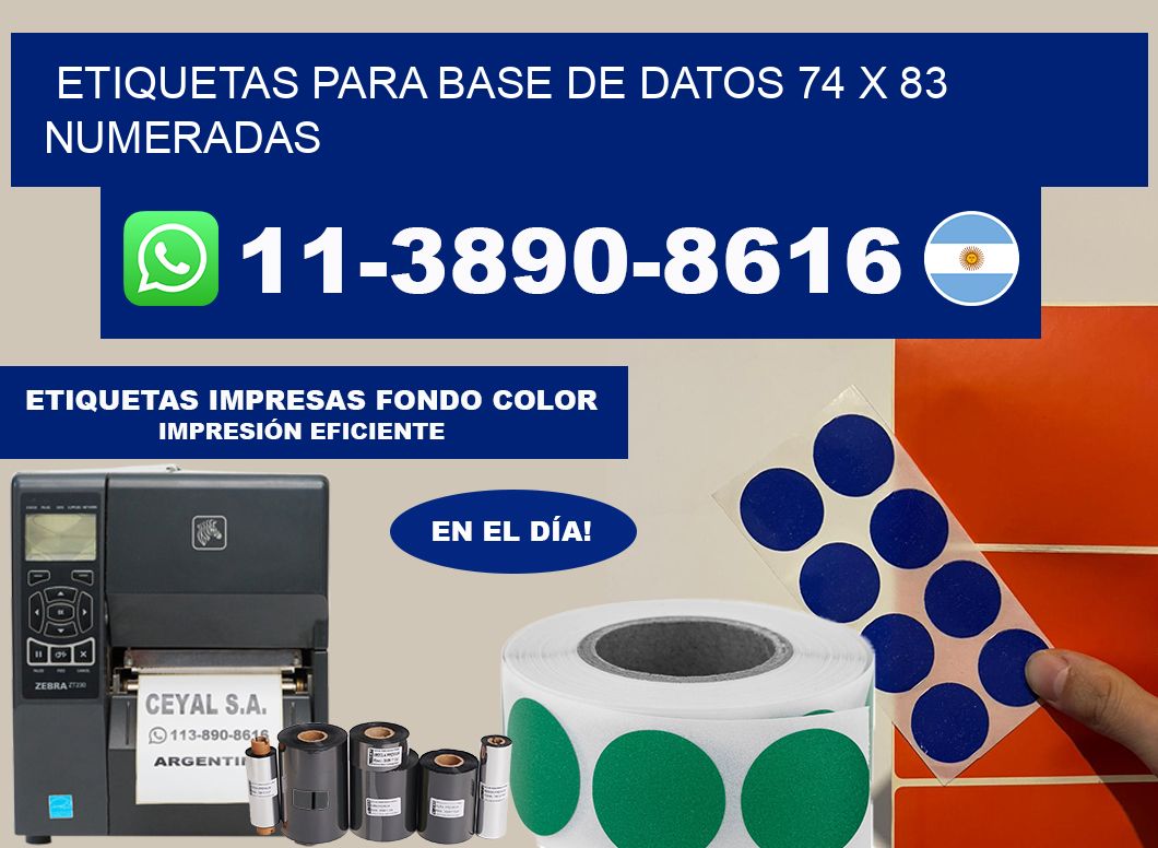 etiquetas para base de datos 74 x 83 numeradas