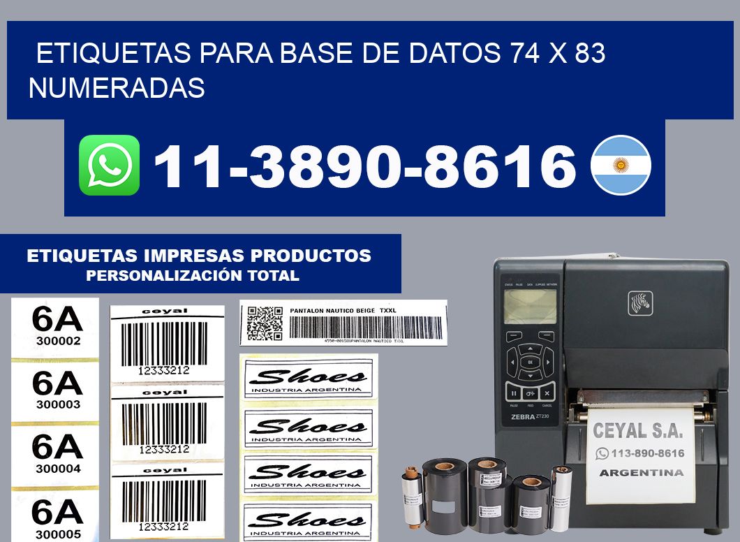 etiquetas para base de datos 74 x 83 numeradas