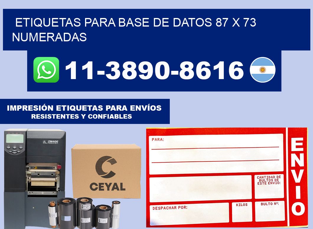 etiquetas para base de datos 87 x 73 numeradas