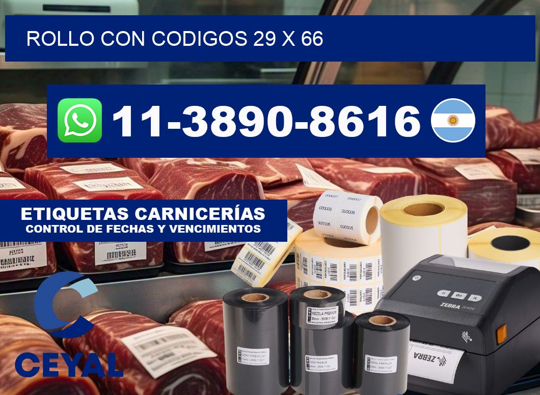 rollo con codigos 29 x 66