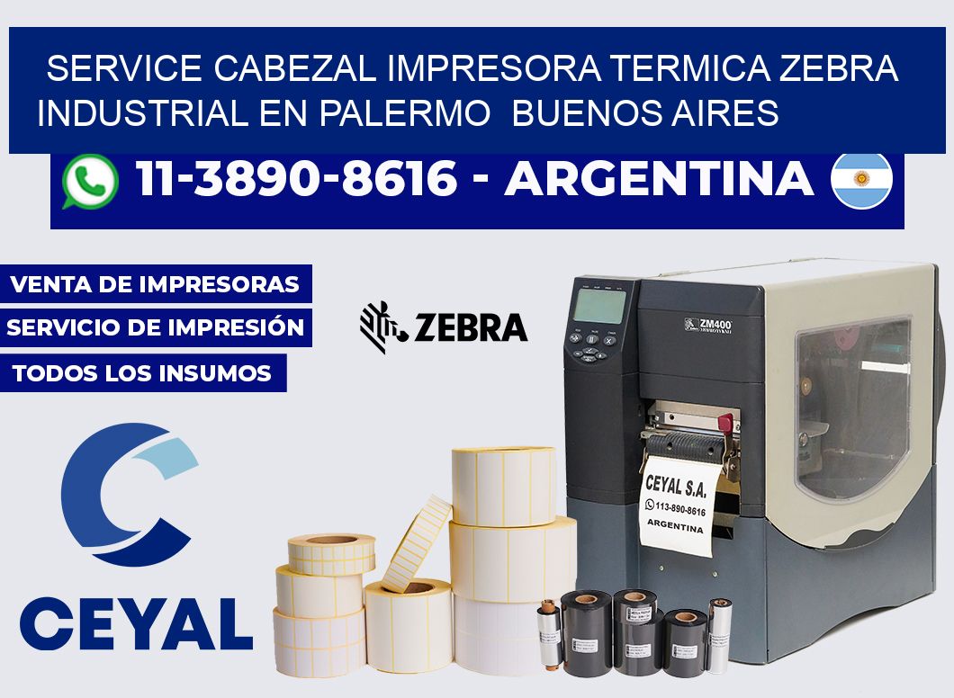 service cabezal impresora termica zebra industrial en Palermo  Buenos Aires