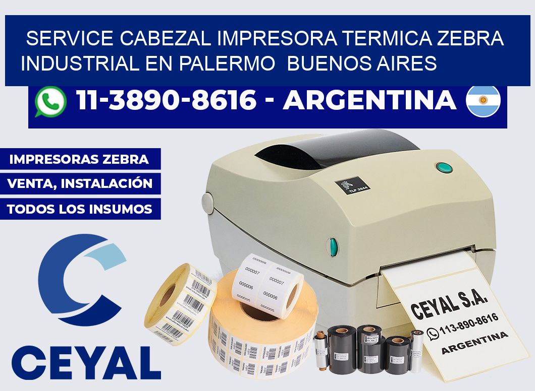 service cabezal impresora termica zebra industrial en Palermo  Buenos Aires